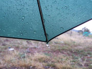 An umbrella with raindrops